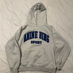 Anine Bing Light Gray Hoodie